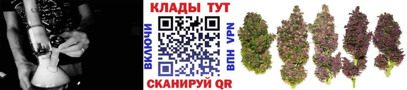 Где купить наркотики Спасск Cocaine  Меф  ГАШИШ  Альфа ПВП  гидра ссылки  Канабис  АМФЕТАМИН 
