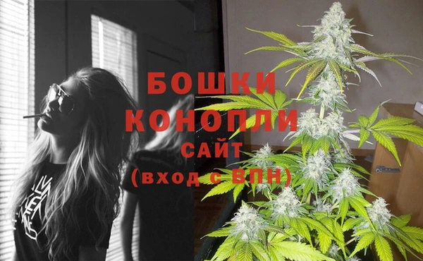 стафф Аркадак