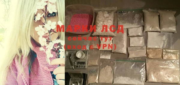 стафф Аркадак